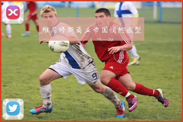 维尼修斯商业帝国悄然成型