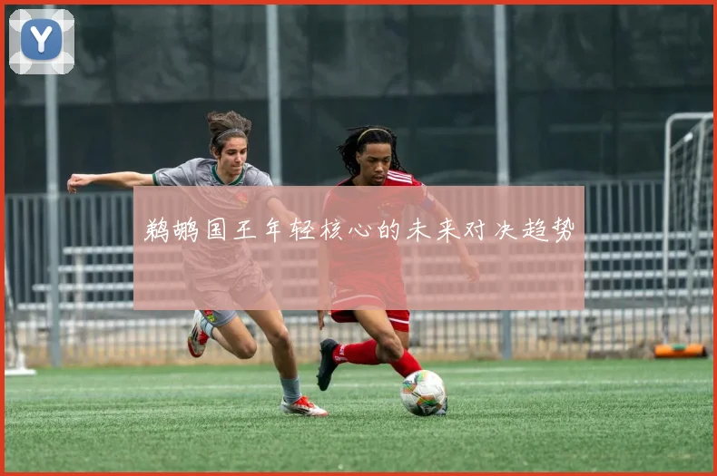 鹈鹕国王年轻核心的未来对决趋势