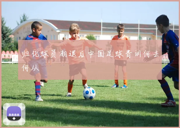 归化球员潮退后中国足球青训何去何从