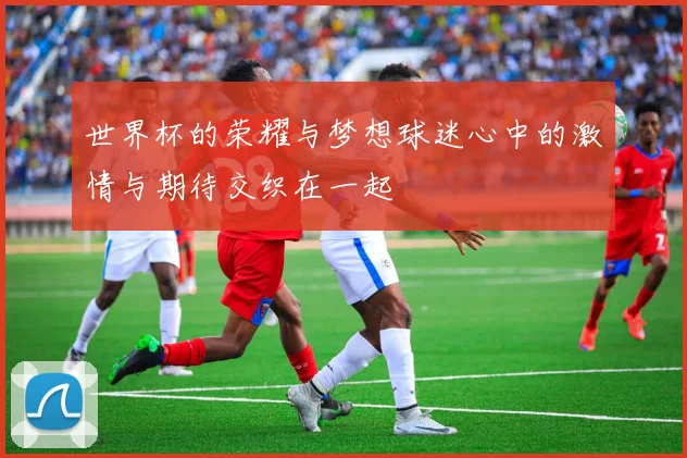 世界杯的荣耀与梦想球迷心中的激情与期待交织在一起