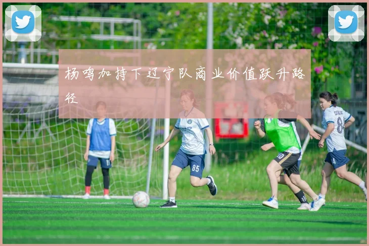 杨鸣加持下辽宁队商业价值跃升路径