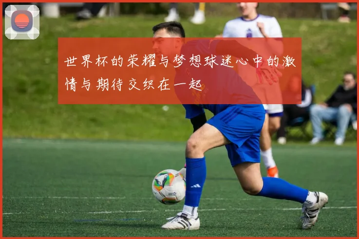 世界杯的荣耀与梦想球迷心中的激情与期待交织在一起