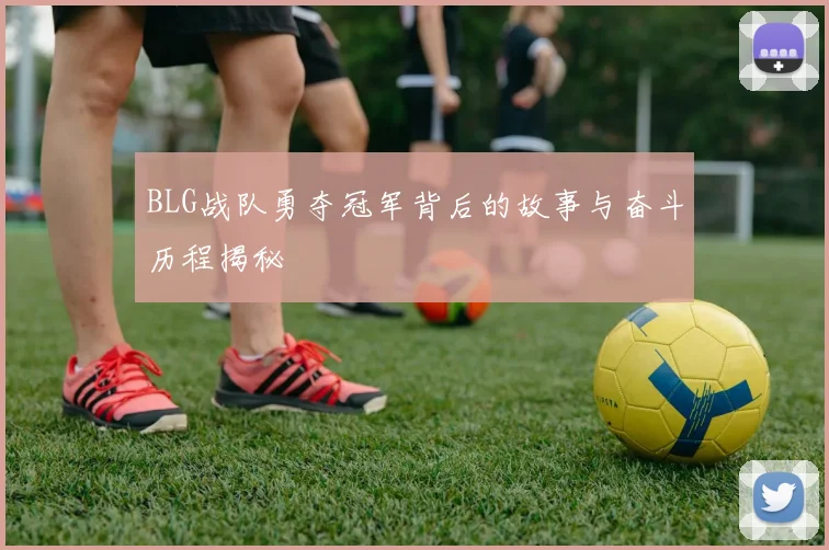 BLG战队勇夺冠军背后的故事与奋斗历程揭秘