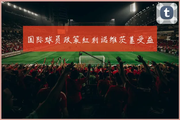 国际球员政策红利诺维茨基受益