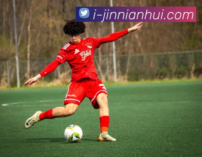 今年会平台生态图